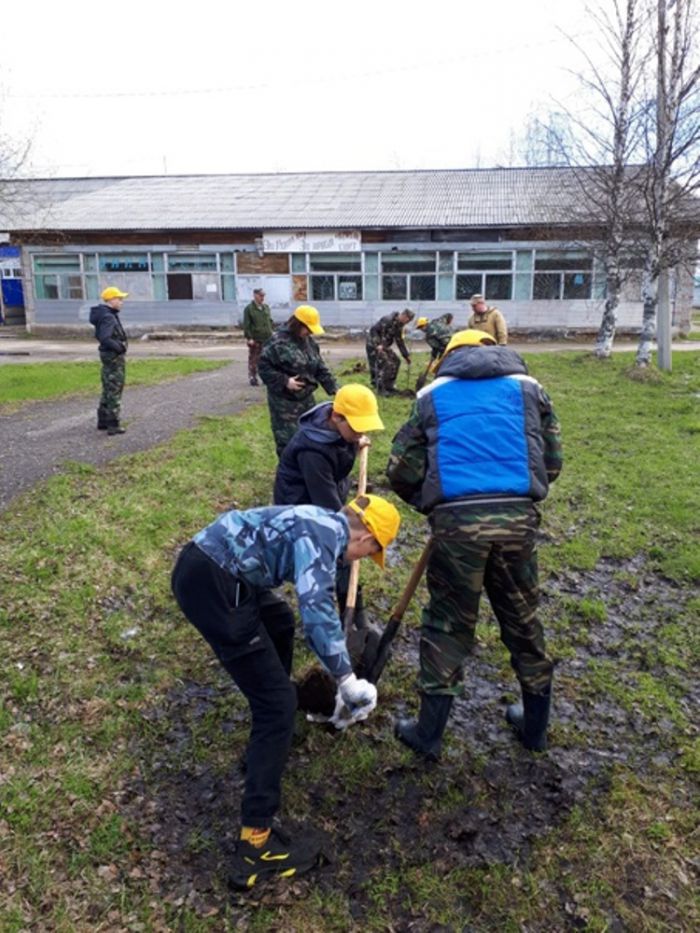 27 мая 2022 года на территории городского поселения «Междуреченск» были высажены саженцы рябины в рамках акции «Сад Памяти». 